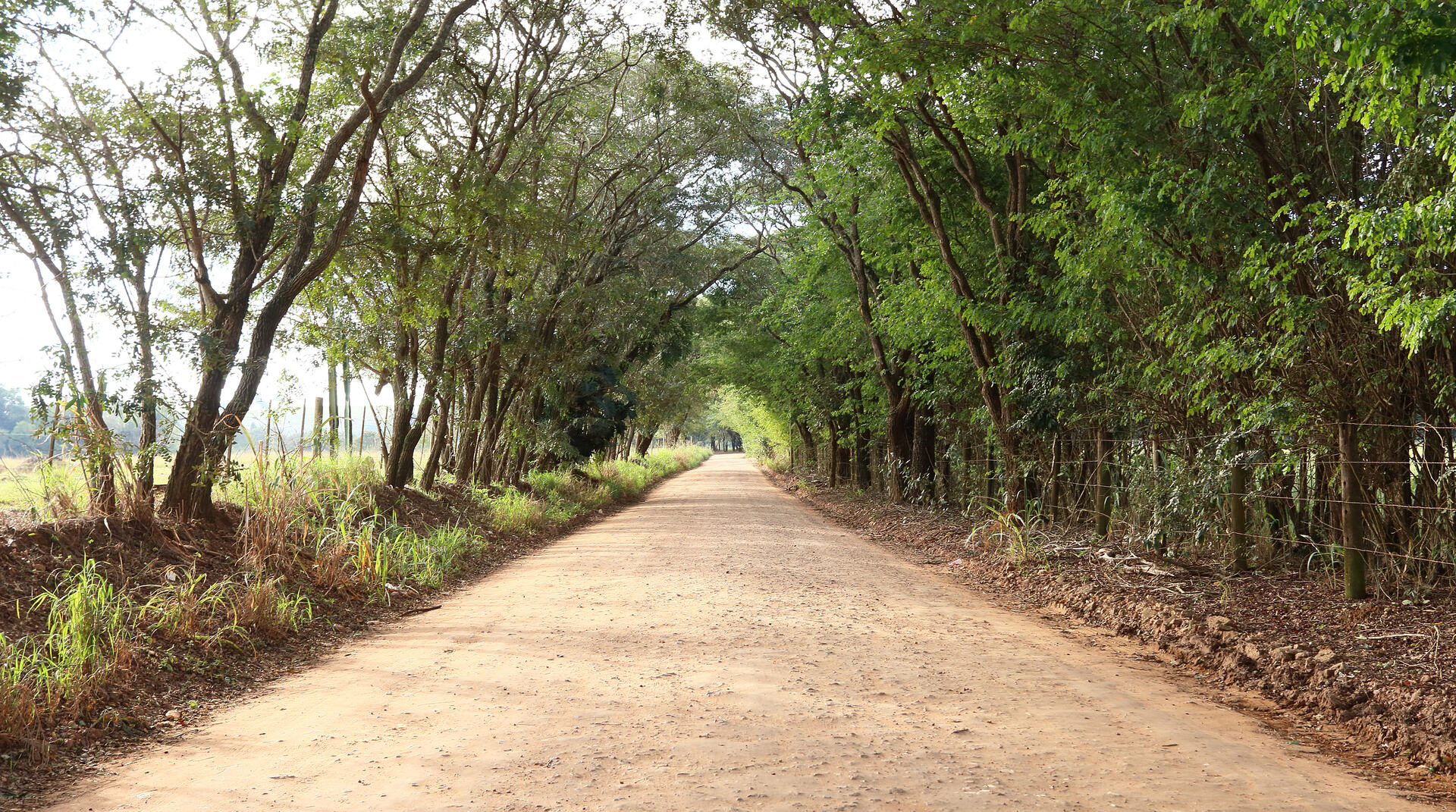'Minha rua/estrada' Estrada Isabel Miranda IMG_2900 R