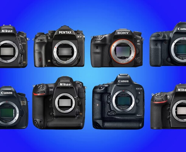 Screenshot 2024-06-29 at 5.20.53 PM