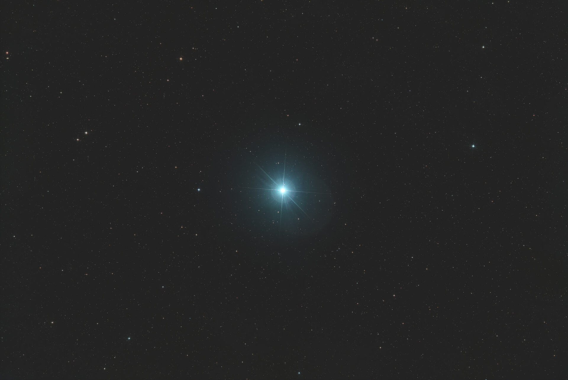 Vega