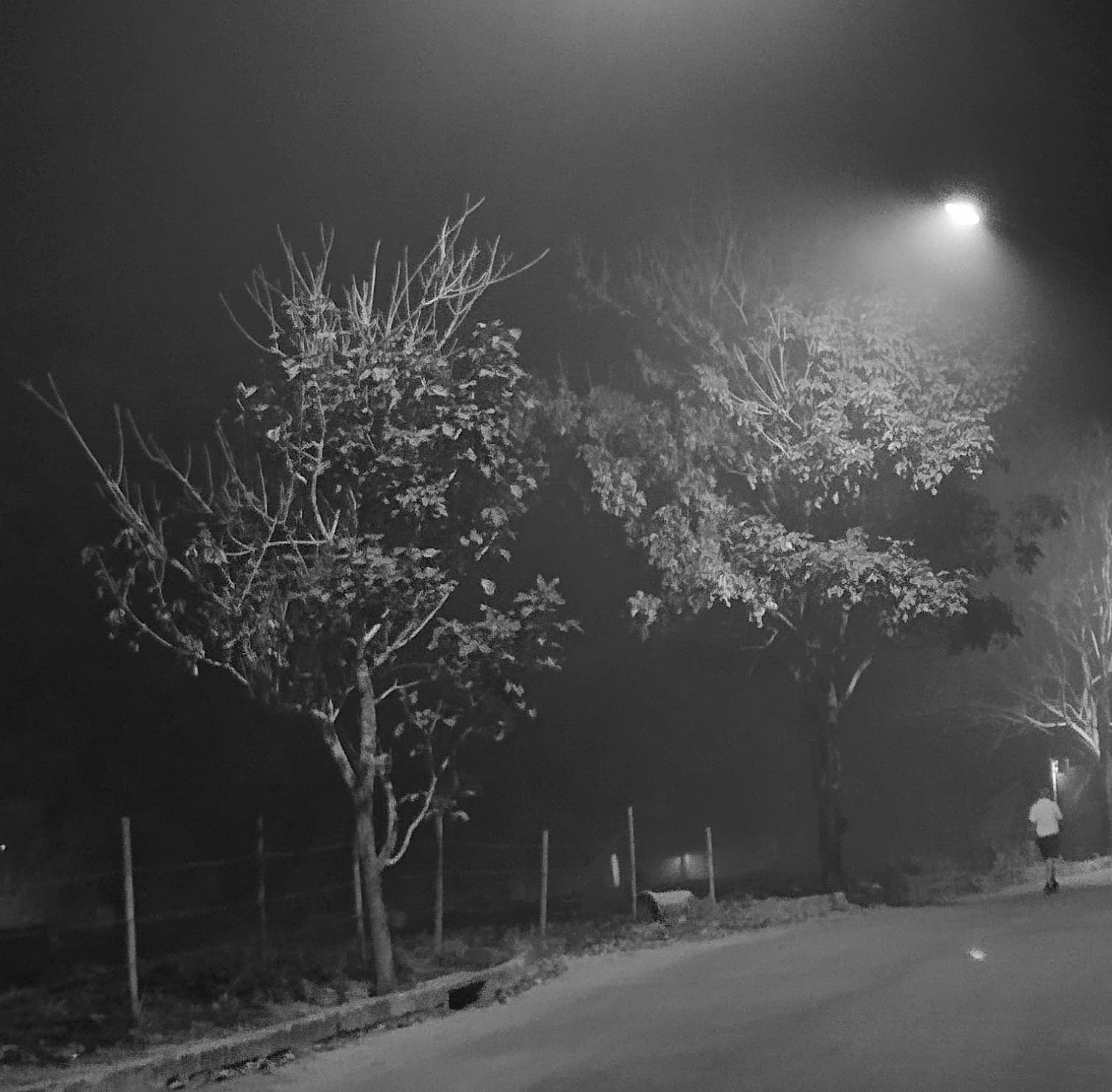 inbound981719189392415808