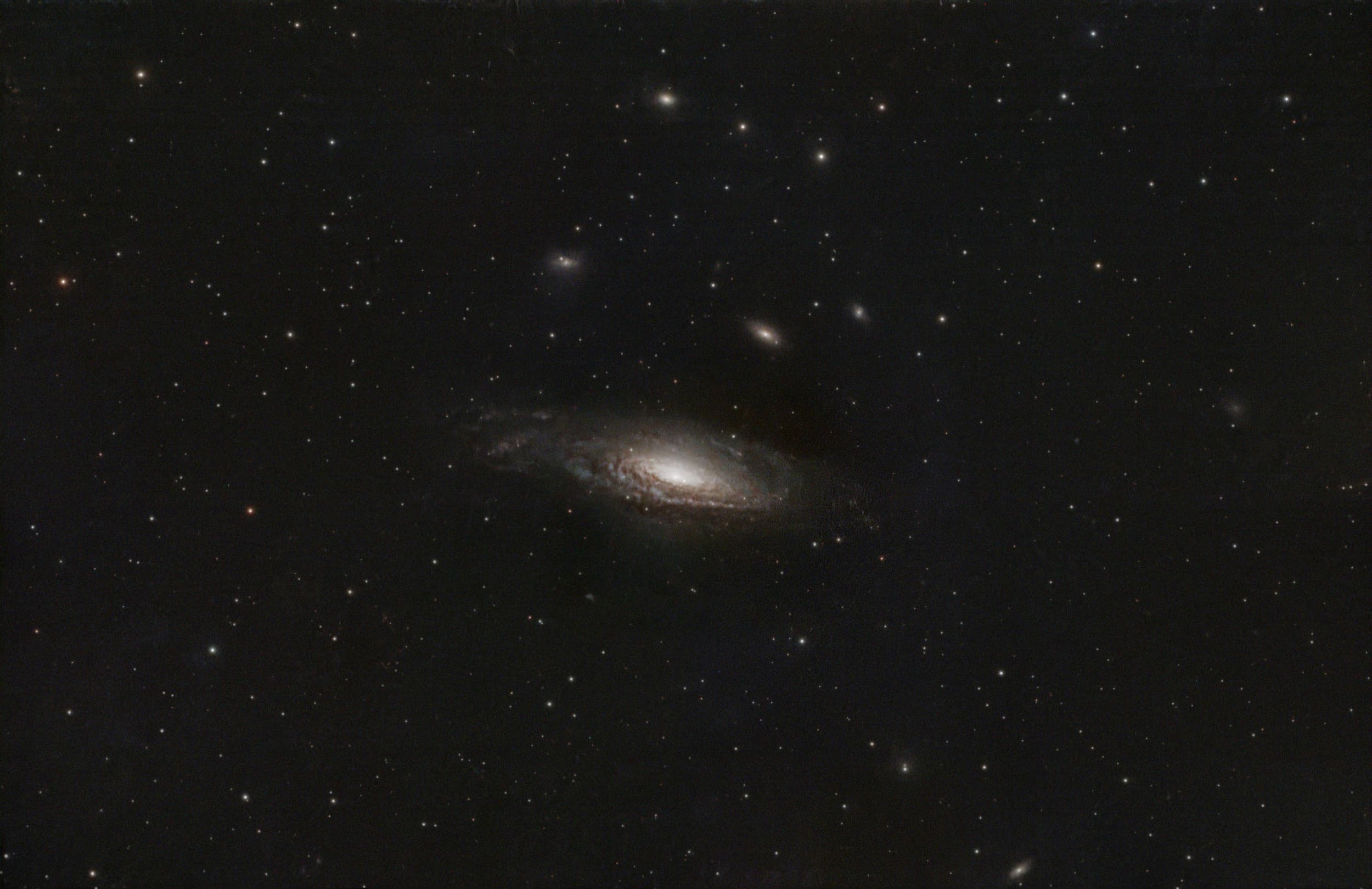 Deer Lick Group no profile